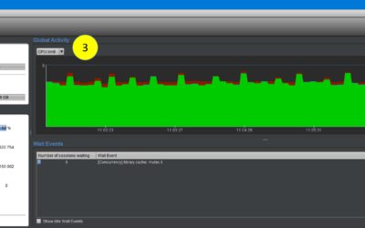 Oracle SE2 : lecture de la limite de CPU avec d.side